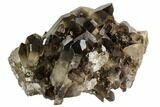 Dark Smoky Quartz Crystal Cluster - Brazil #106971-1